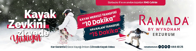 onvo ramada