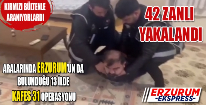 12 ÜLKENİN KIRMIZI BÜLTENLE ARADIĞI 42 ZANLI YAKALANDI