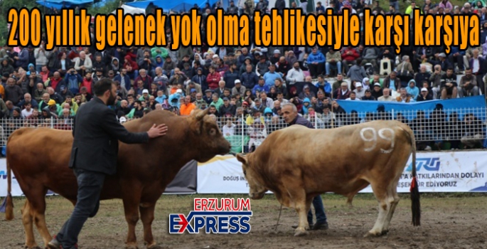 200 yıllık gelenek yok olma tehlikesiyle karşı karşıya