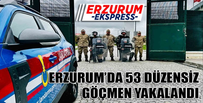 53 Düzensiz göçmen yakalandı