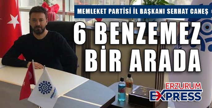 6 BENZEMEZ BİR ARADA 