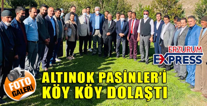 ALTINOK PASİNLER'İ KÖY KÖY GEZDİ.