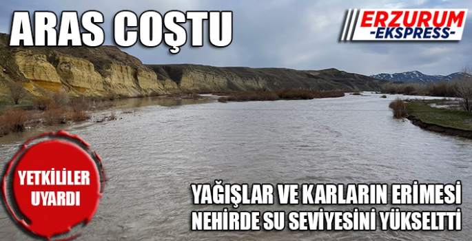 Aras Nehri karların erimesi sonucu yükseldi