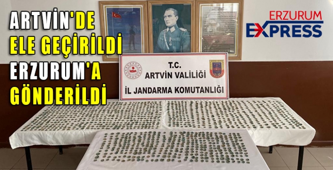 ARTVİN'DE ELE GEÇİRİLDİ, ERZURUM'A GÖNDERİLDİ