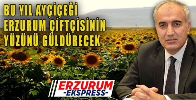 AYÇİÇEĞİ ERZURUM'DA ÇİFTÇİNİN UMUDU OLDU. 