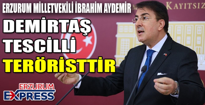 AYDEMİR, DEMİRTAŞ TESCİLLİ TERÖRİSTTİR 