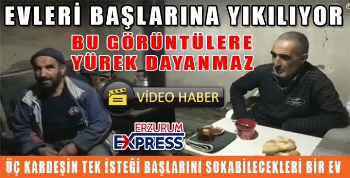 Başkan Aktoprak, bu kardeşleri görün... 