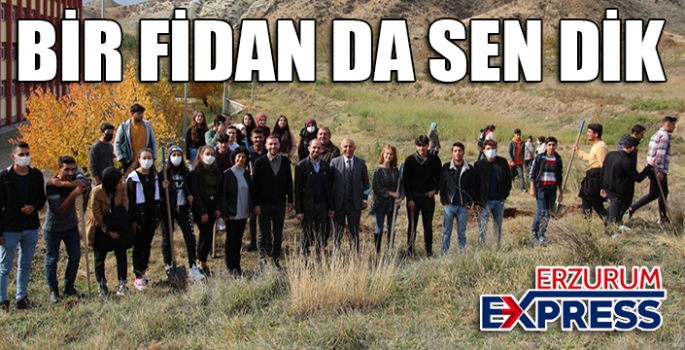 Bir fidan da sen dik