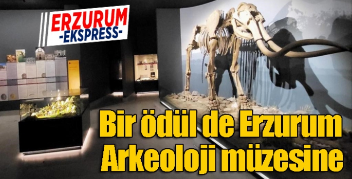 Bir ödül de Erzurum Arkeoloji müzesine
