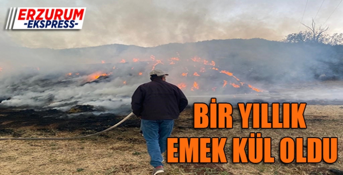 Bir yıllık emek kül oldu