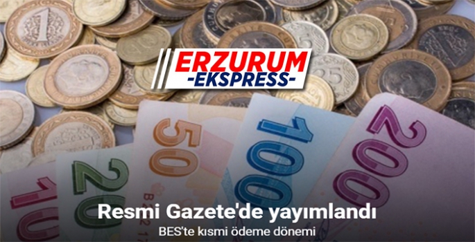 Bireysel Emeklilik Sisteminde kısmen ödeme Resmi Gazete’de