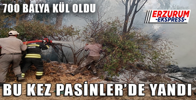 Bu kez Pasinler'de yandı