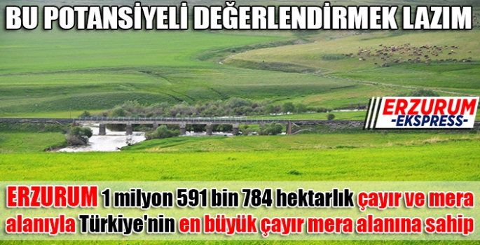 BU POTANSİYELİ DEĞERLENDİRMEMİZ LAZIM