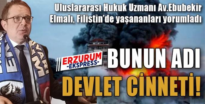 BUNUN ADI DEVLET CİNNETİ!