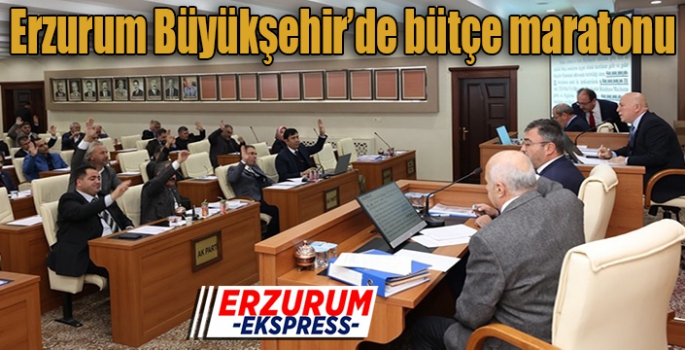 Büyükşehir’de bütçe maratonu
