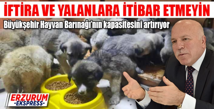 Büyükşehir Hayvan Barınağı’nın kapasitesini artırıyor