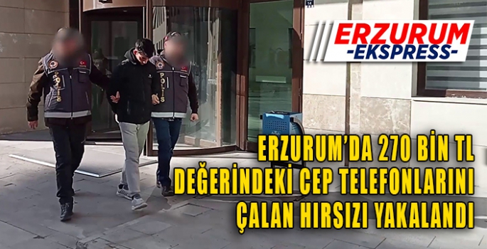 Cep telefonu hırsızı yakalandı