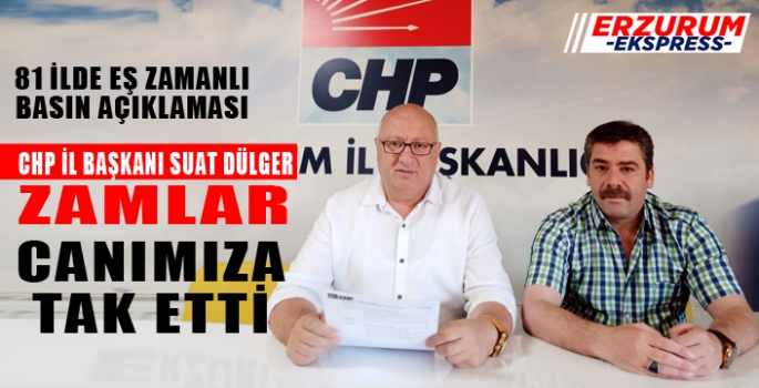 CHP İL BAŞKANI SUAT DÜLGER, HALKIN DERDİ SARAYIN DERDİ OLMUYOR. 