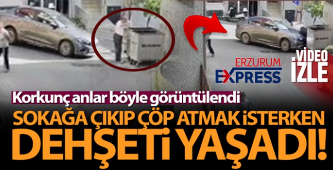  Çöp atarken dehşeti yaşadı