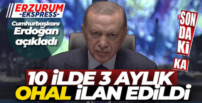 Cumhurbaşkanı Erdoğan: Depremden etkilenen 10 ilde 3 aylık OHAL ilan edildi