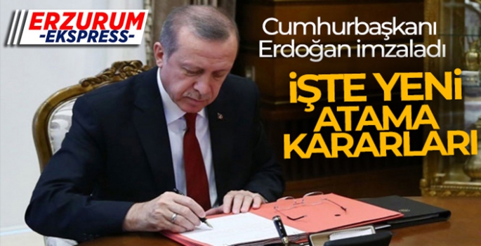 Cumhurbaşkanı Erdoğan imzaladı! İşte yeni atama kararları