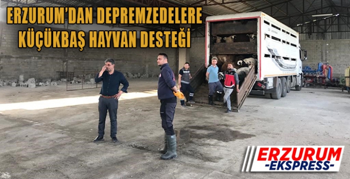 Depremzedelere küçükbaş hayvan desteği