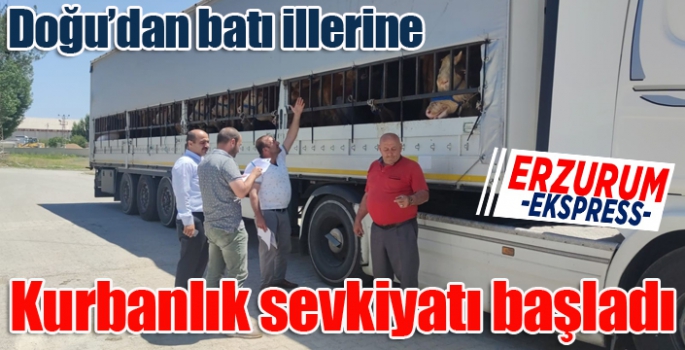 Doğu’dan batı illerine kurbanlık sevkiyatı başladı