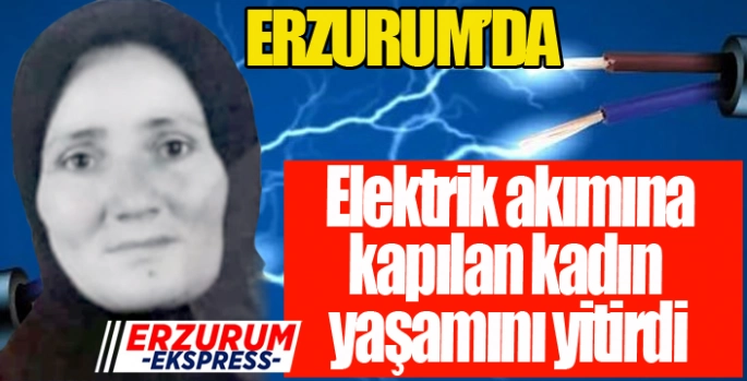 Elektrik akımına kapılan kadın yaşamını yitirdi...