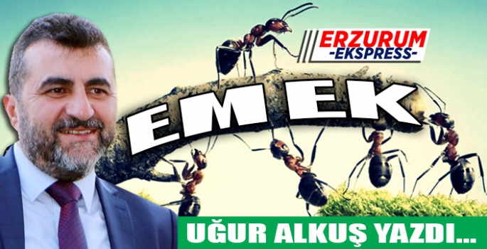 EMEK…