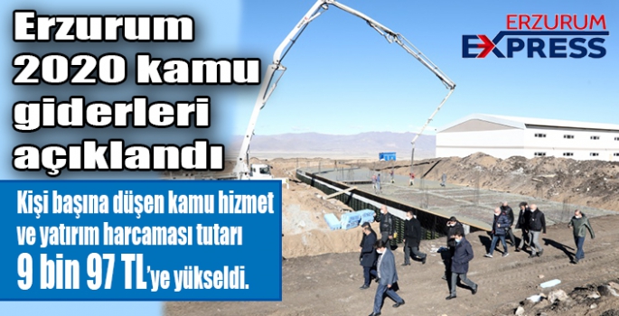 Erzurum 2020 kamu giderleri açıklandı