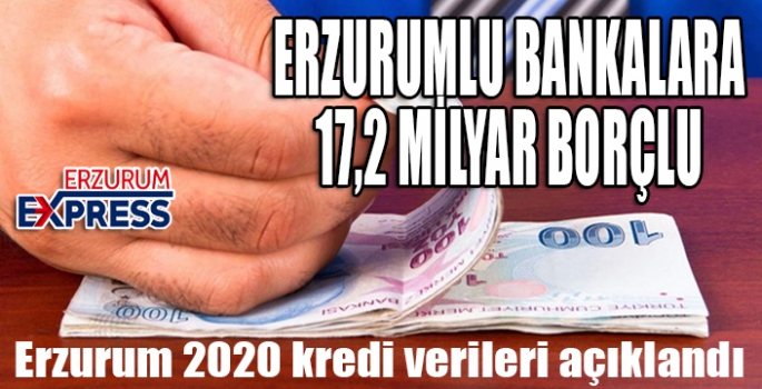 Erzurum 2020 kredi verileri açıklandı