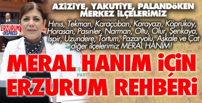 Erzurum'a Fransız vekilimize şehrimizi tanıtıyoruz... Dinle Meral Hanım!