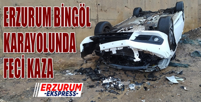 Erzurum Bingöl Karayolunda feci kaza
