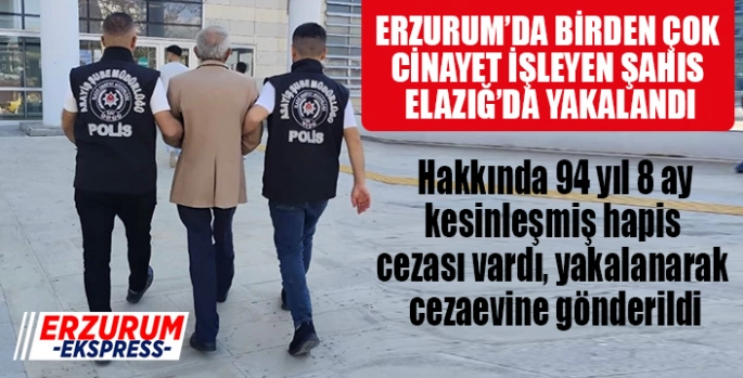 Erzurum'da birden çok cinayet işleyen şahıs Elazığ'da yakalandı