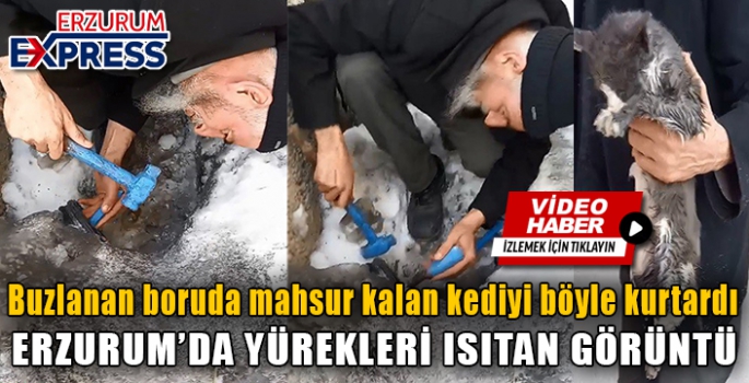 Erzurum'da buzlanan boruda mahsur kalan kediyi böyle kurtardı