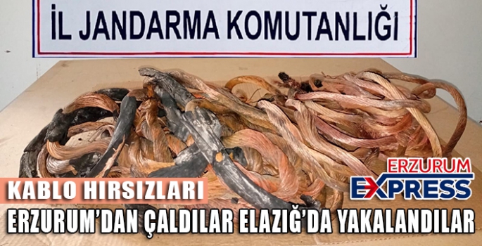  Erzurum'da çaldılar Elazığ'da yakalandılar