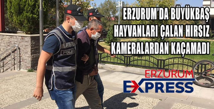  Erzurum'da hayvan hırsızlığına karışan zanlı yakalandı