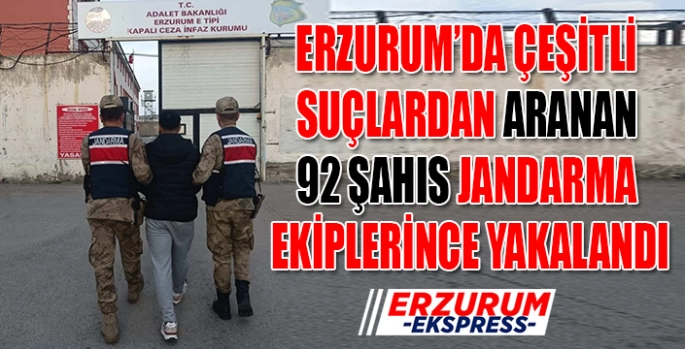 Erzurum'da jandarmadan aranan şahıslara operasyon