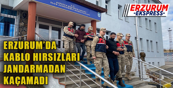 Erzurum'da, kablo hırsızları Jandarma’dan kaçamadı