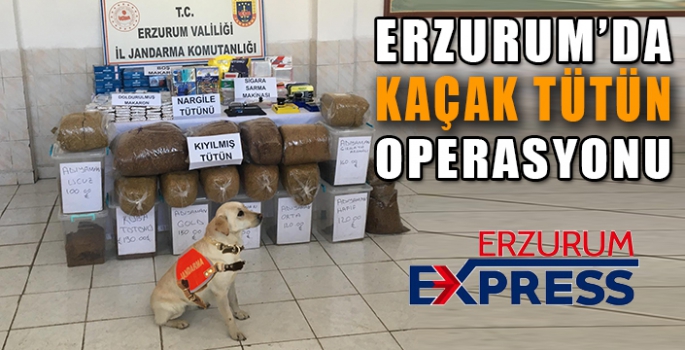 Erzurum’da kaçak tütün operasyonu