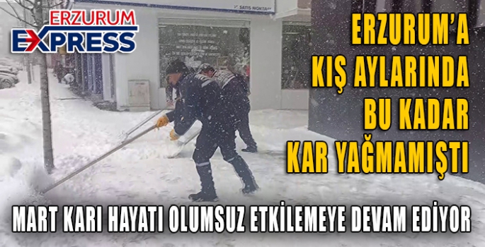 Erzurum'da kar yağışı etkili oldu, kent beyaza büründü