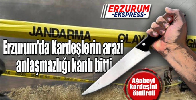 Erzurum'da Kardeşlerin arazi anlaşmazlığı kanlı bitti