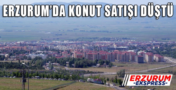 Erzurum’da konut satışları azaldı