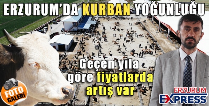 Erzurum'da  kurbanlıklar görücüye çıktı