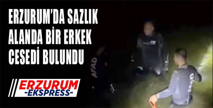 Erzurum'da sazlık alanda bir erkek cesedi bulundu