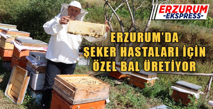 Erzurum'da Şeker hastaları için bal üretiyor