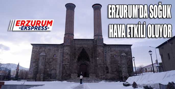  Erzurum'da soğuk hava ve kar etkili oluyor