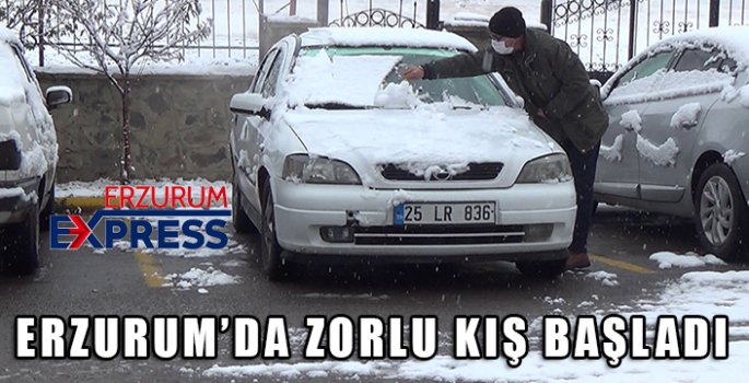 Erzurum’da soğuk hava ve sis etkili oluyor