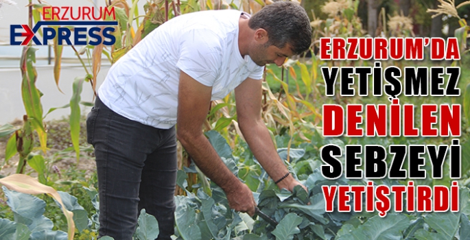 Erzurum’da yetişmez denilen sebzeyi 2 bin rakımda yetiştirdi