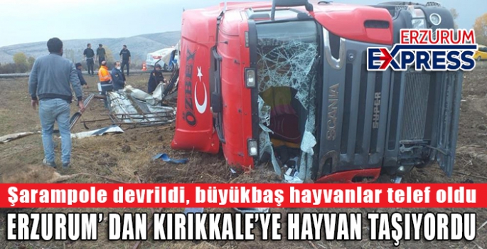 ERZURUM'DAN HAYVAN TAŞIYORDU